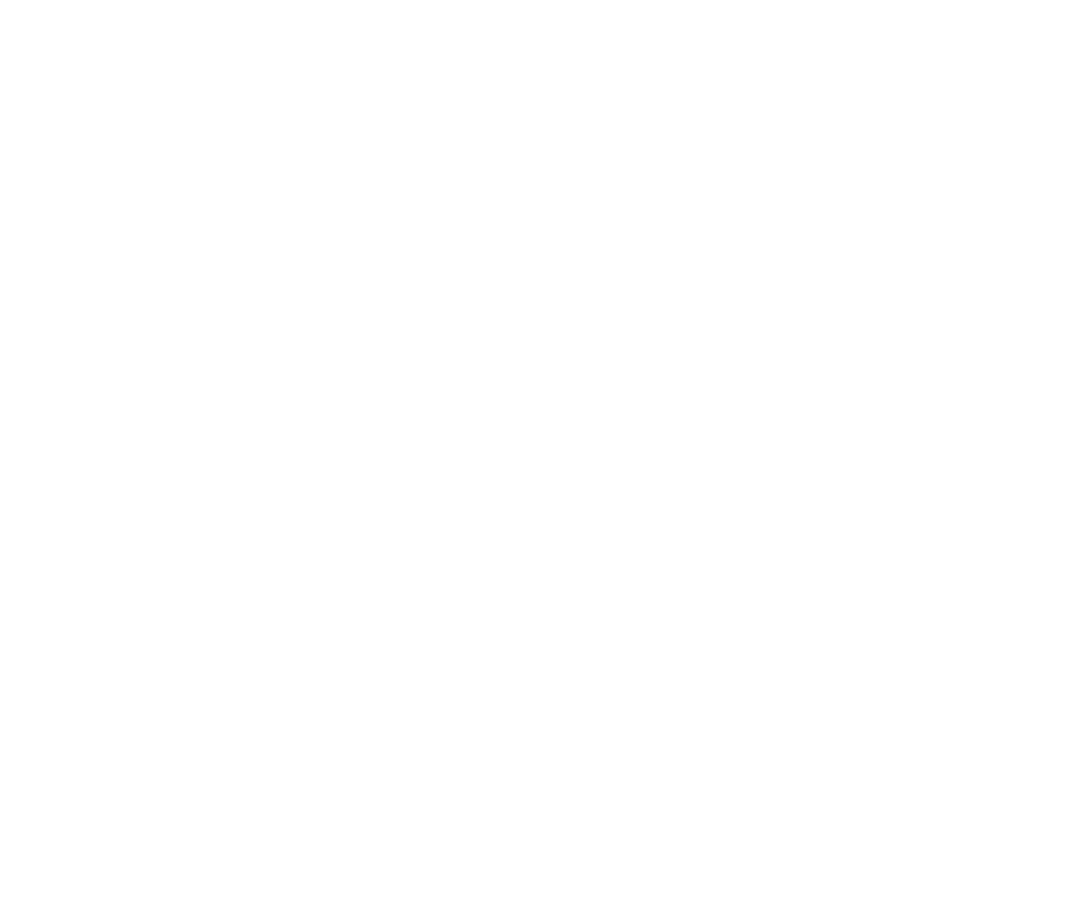 ナマステ！～踊る恋と革命のインドカリー